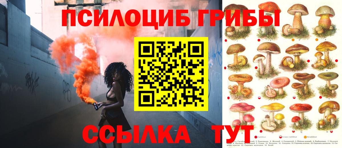цены   Вход с VPN  Галлюциногенные грибы мухоморы  Ковров  Псилоцибиновые грибы мухоморы 
