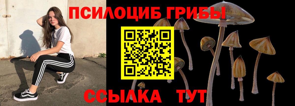 Псилоцибиновые грибы ЛСД Ковров